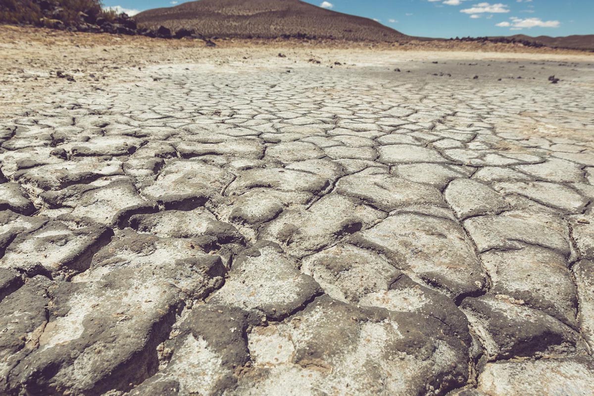 Dlaczego państwowa aplikacja do zgłaszania suszy nie spełnia oczekiwań rolników