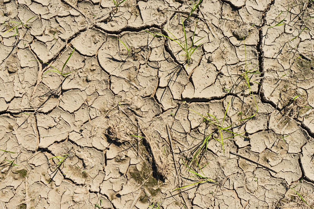 Polska wysycha: narastający kryzys wody i widmo suszy