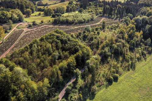 Nieprawidłowa klasyfikacja gruntów w świetle ustaleń nik