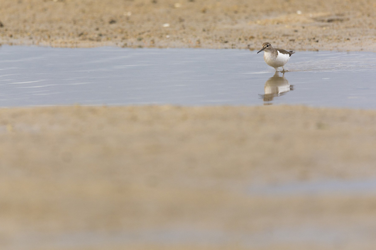 Ponad połowa jezior na świecie traci wodę: co to oznacza dla ludzi i klimatu