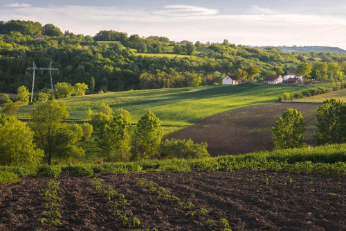 Ile dziś kosztuje działka budowlana pod Krakowem i skąd tak duże wzrosty cen gruntów