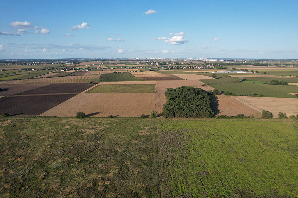 Pierwsze kroki w zakupie działki pod budowę: Przewodnik bezpieczeństwa