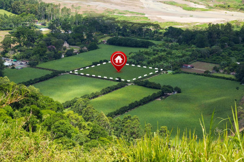 Jak skutecznie napisać ogłoszenie o sprzedaży działki, które naprawdę przyciągnie kupujących