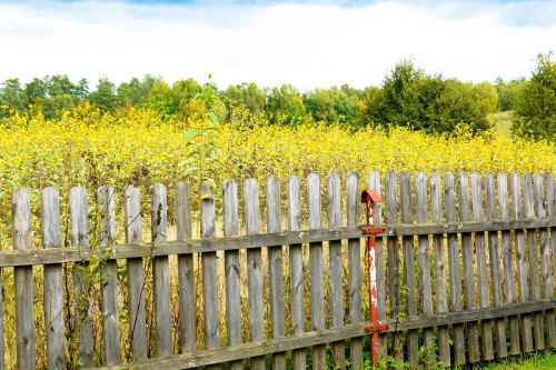 Podatek od ogrodzeń a reakcja ministerstwa finansów – co naprawdę grozi właścicielom posesji