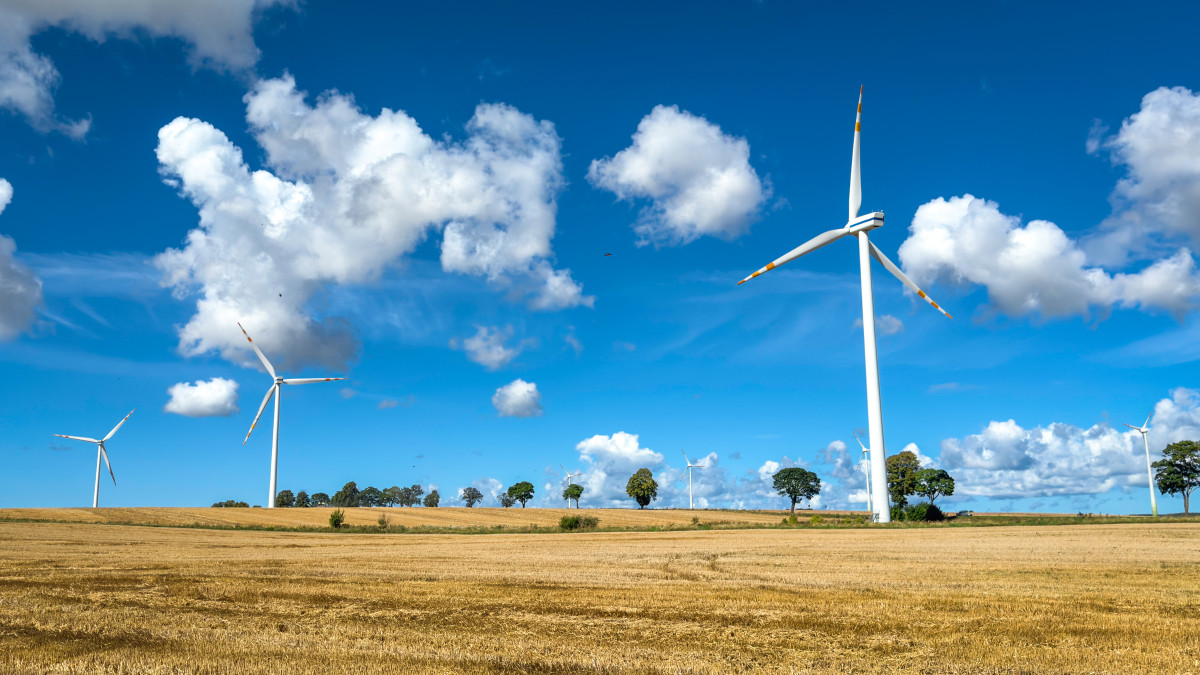 Ewolucja polskiego sektora energii wiatrowej w kontekście wyzwań środowiskowych