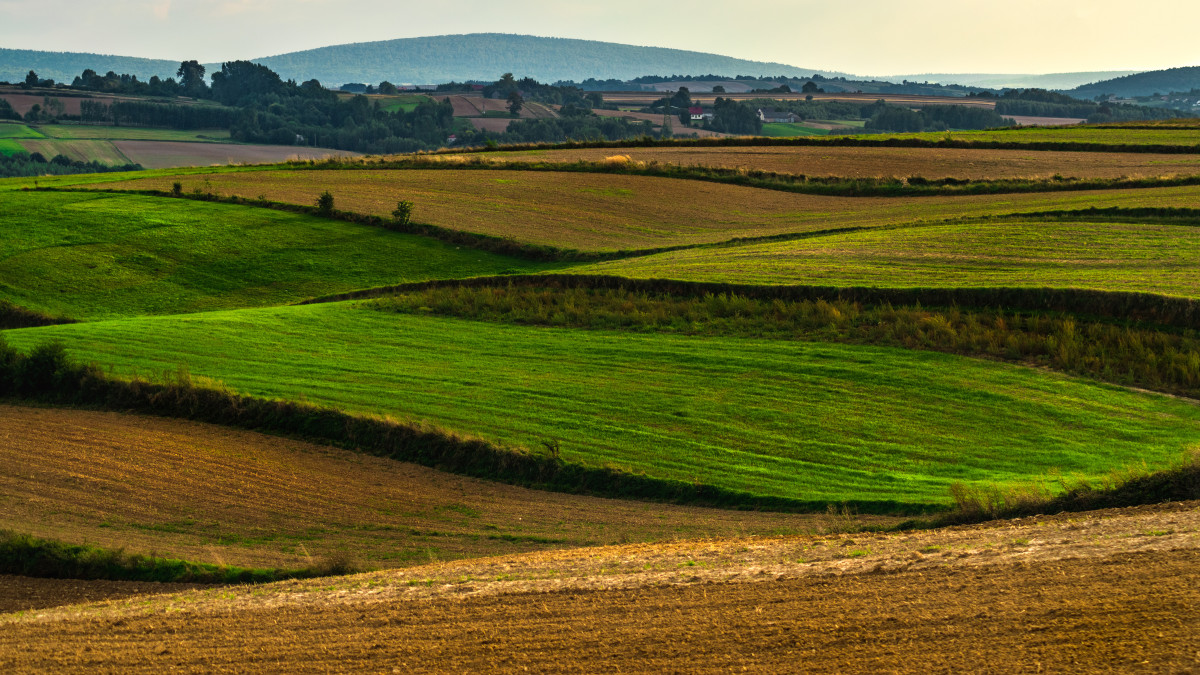 Niebywałe wzrosty cen ziemi uprawnej z roku 2025