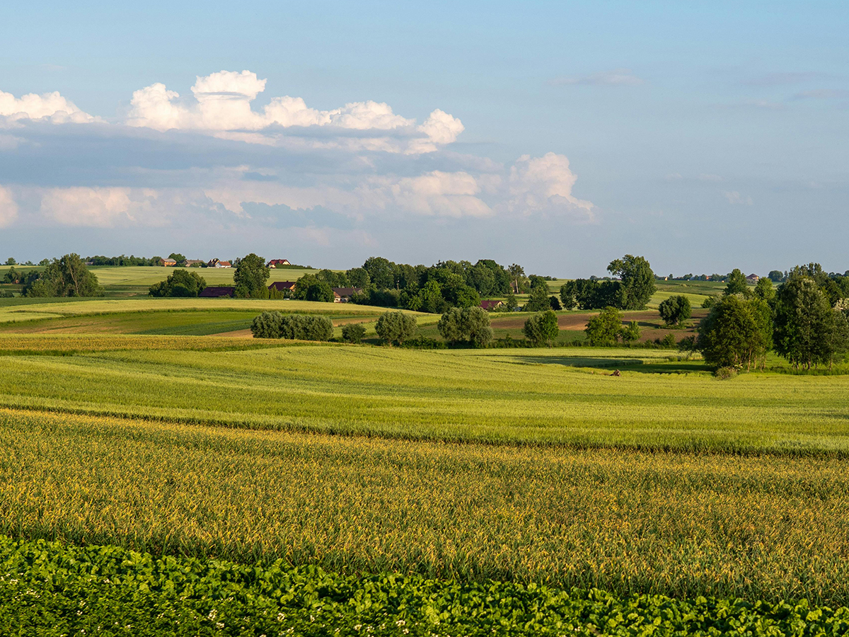 Jak gminy mogą kształtować przestrzeń miejską za pomocą procedury ZPI
