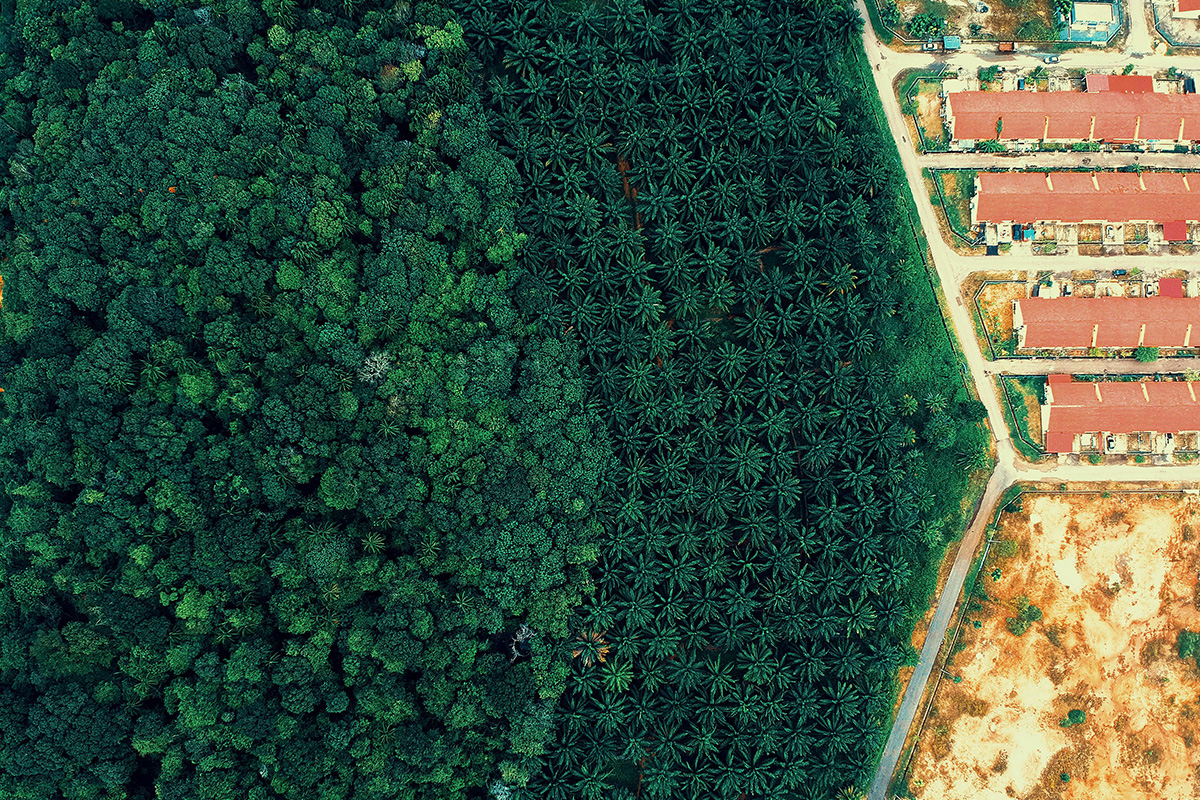 Reity w polsce – katalizator rozwoju rynku nieruchomości czy ryzyko droższych mieszkań?