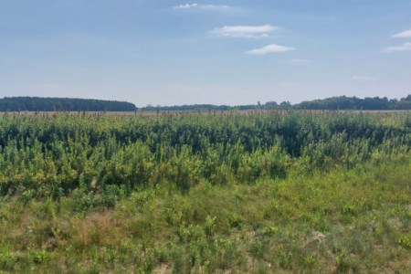 Co to jest księga wieczysta i jak ją sprawdzać?
