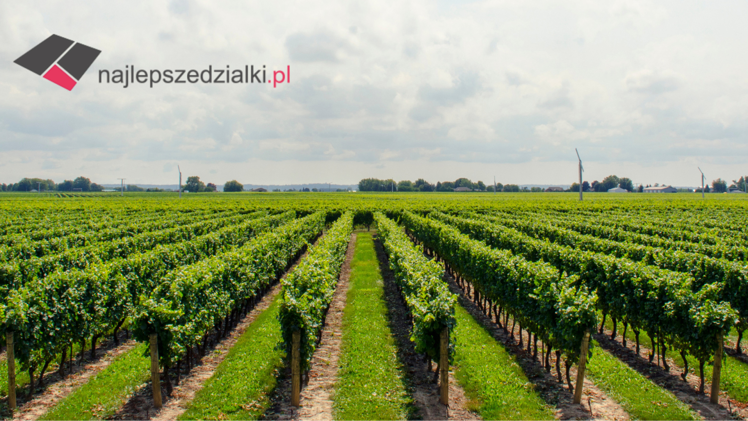 gdzie-szukac-wiarygodnych-ofert-dzialek-na-sprzedaz