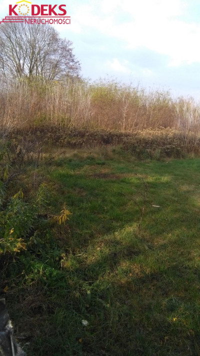 Na sprzedaż działka budowlana - Stasi Las -
mazowieckie Zdjęcie nr 2