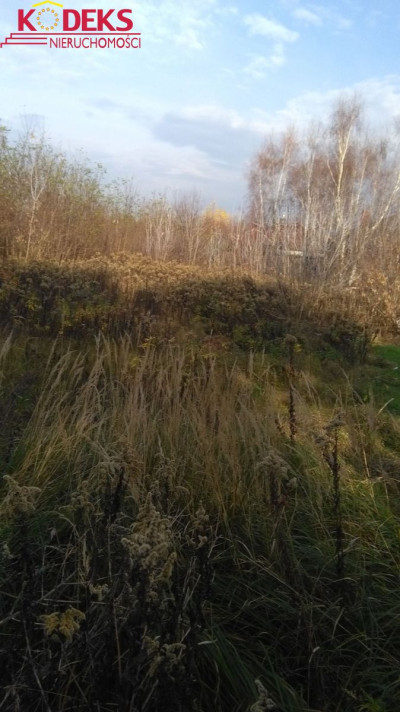 Na sprzedaż działka budowlana - Stasi Las -
mazowieckie Zdjęcie nr 3