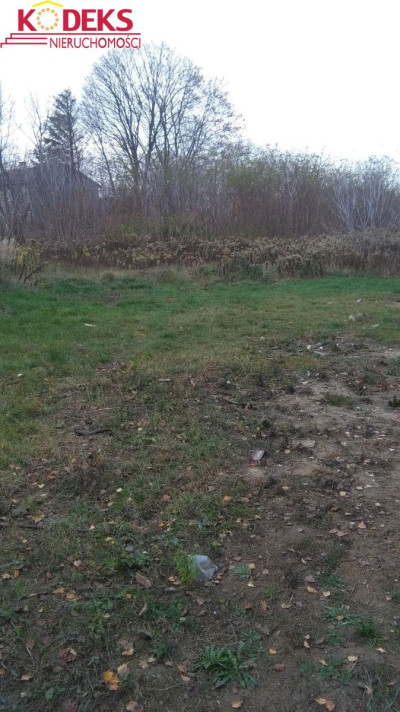 Na sprzedaż działka budowlana - Stasi Las -
mazowieckie Zdjęcie nr 4