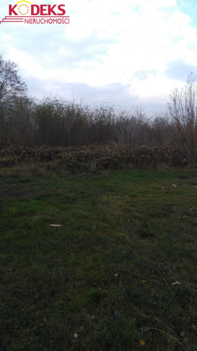 Na sprzedaż działka budowlana - Stasi Las -
mazowieckie Zdjęcie nr 5