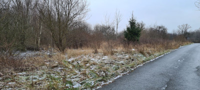 Na sprzedaż działka budowlana - Stary Wielisław -
dolnośląskie Zdjęcie nr 5