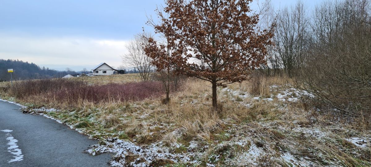 Na sprzedaż działka budowlana - Stary Wielisław -
dolnośląskie Zdjęcie nr 1