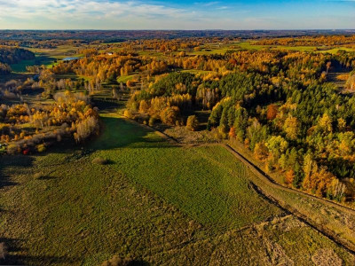 Na sprzedaż działka rolna - Spręcowo -
warmińsko-mazurskie Zdjęcie nr 10
