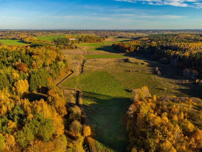 Na sprzedaż działka rolna - Spręcowo -
warmińsko-mazurskie Zdjęcie nr 4