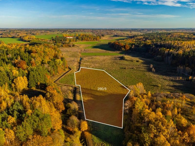 Na sprzedaż działka rolna - Spręcowo -
warmińsko-mazurskie Zdjęcie nr 5