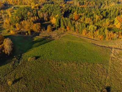 Na sprzedaż działka rolna - Spręcowo -
warmińsko-mazurskie Zdjęcie nr 8