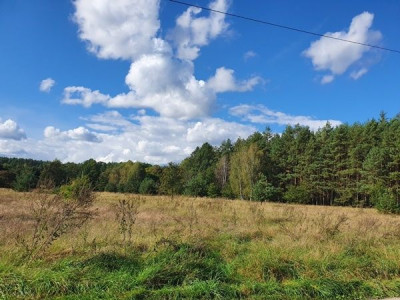 Na sprzedaż działka budowlana - Pełczyn -
dolnośląskie Zdjęcie nr 2