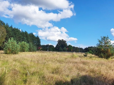 Na sprzedaż działka budowlana - Pełczyn -
dolnośląskie Zdjęcie nr 4