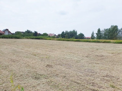 Na sprzedaż działka budowlana - Wilkszyn -
dolnośląskie Zdjęcie nr 10