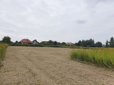 Na sprzedaż działka budowlana - Wilkszyn -
dolnośląskie Zdjęcie nr 11