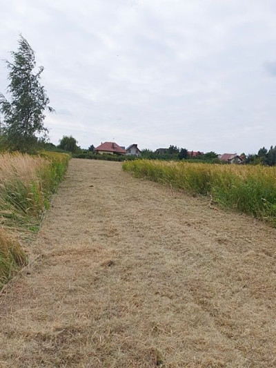 Na sprzedaż działka budowlana - Wilkszyn -
dolnośląskie Zdjęcie nr 13
