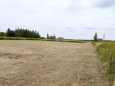 Na sprzedaż działka budowlana - Wilkszyn -
dolnośląskie Zdjęcie nr 8