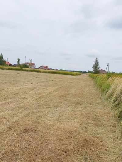 Na sprzedaż działka budowlana - Wilkszyn -
dolnośląskie Zdjęcie nr 9