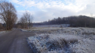 Na sprzedaż działka budowlana - Tolkmicko -
warmińsko-mazurskie Zdjęcie nr 7