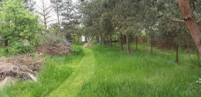 Na sprzedaż działka budowlana - Kazuń-Bielany -
mazowieckie Zdjęcie nr 4