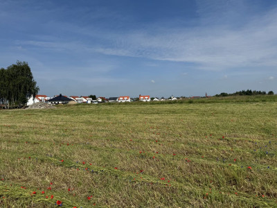 Na sprzedaż działka budowlana -
wielkopolskie Zdjęcie nr 11