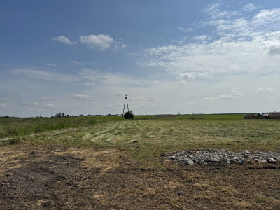 Na sprzedaż działka budowlana -
wielkopolskie Zdjęcie nr 3