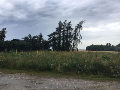 Na sprzedaż działka budowlana - Łopienno -
wielkopolskie Zdjęcie nr 2