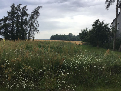 Na sprzedaż działka budowlana - Łopienno -
wielkopolskie Zdjęcie nr 3