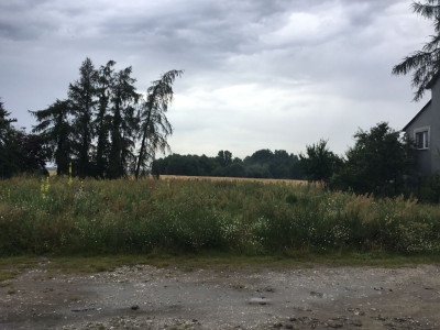 Na sprzedaż działka budowlana - Łopienno -
wielkopolskie Zdjęcie nr 5