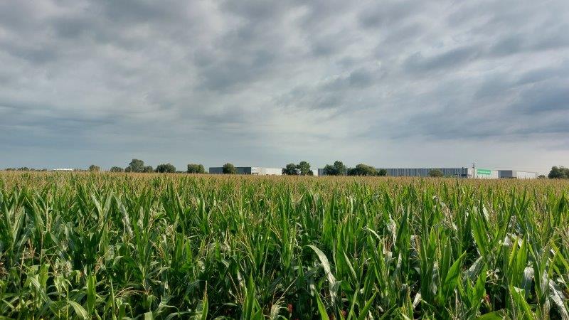 Działki dla dewelopera pod zabudowę mieszkaniową jednorodzinną -
wielkopolskie Zdjęcie nr 1