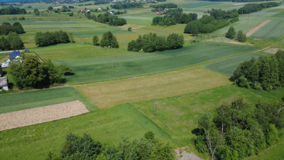 Na sprzedaż działka z wydaną wz w Niepli -
podkarpackie Zdjęcie nr 4