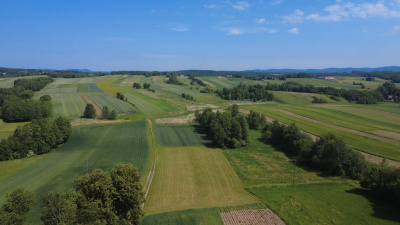 Na sprzedaż działka z wydaną wz w Niepli -
podkarpackie Zdjęcie nr 2