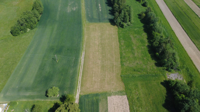 Na sprzedaż działka z wydaną wz w Niepli -
podkarpackie Zdjęcie nr 5