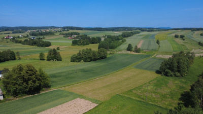 Na sprzedaż działka z wydaną wz w Niepli -
podkarpackie Zdjęcie nr 3