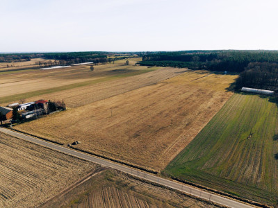 Działka 414 ha z zabudową zagrodową w Modlnej - Modlna  -
łódzkie Zdjęcie nr 2