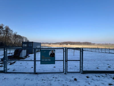 Działka 414 ha z zabudową zagrodową w Modlnej - Modlna  -
łódzkie Zdjęcie nr 6