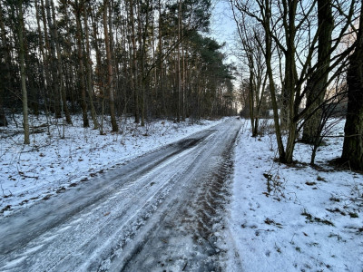 Działka 414 ha z zabudową zagrodową w Modlnej - Modlna  -
łódzkie Zdjęcie nr 8