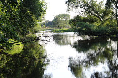 Działka inwestycyjna 4,45 ha z własną linią brzegową rzeki Liswarty | Troniny | gm. Lipie -
śląskie Zdjęcie nr 17