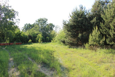 Działka inwestycyjna 4,45 ha z własną linią brzegową rzeki Liswarty | Troniny | gm. Lipie -
śląskie Zdjęcie nr 5