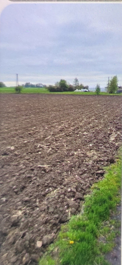 Działka 2500m2 z POZWOLENIE NA BUDOWĘ +projekt, tanio. - łódzkie