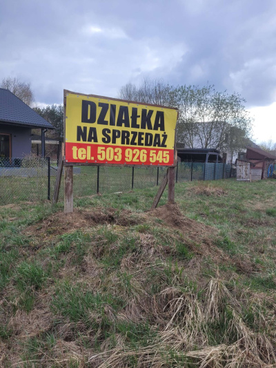 Krzysztof Wielgolaski -
mazowieckie Zdjęcie nr 12